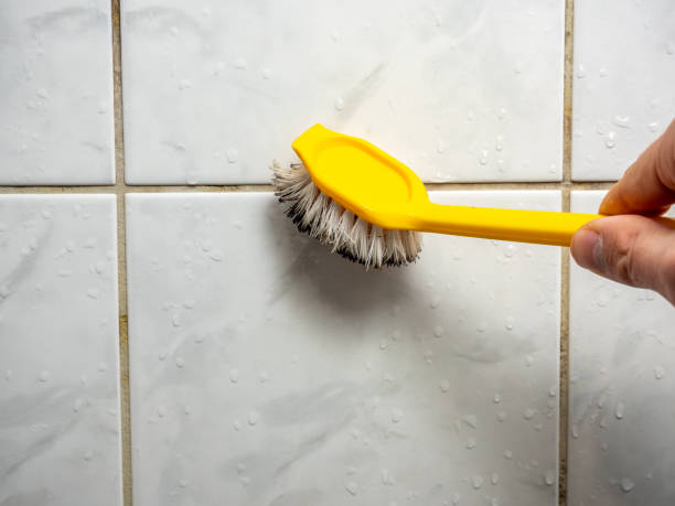 Best Mold Cleaning Services  in Coyne Center, IL