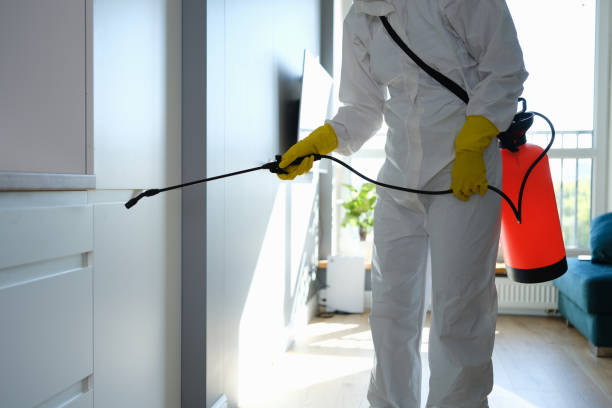 Certified Mold Removal in Coyne Center, IL